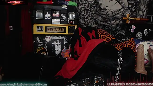 Snapshot of Silentmary chatting on February 18, 11:52 pm Silentmary online show from February 18, 11:52 pm