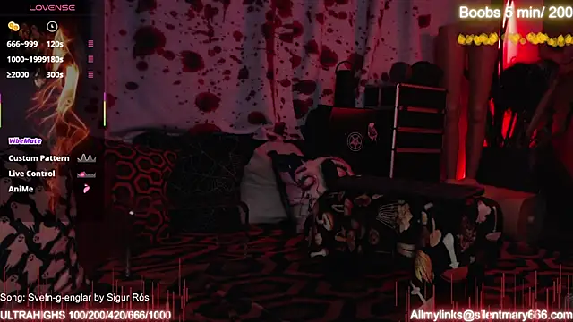 Snapshot of Silentmary chatting on October 10, 10:36 am Silentmary online show from October 10, 10:36 am