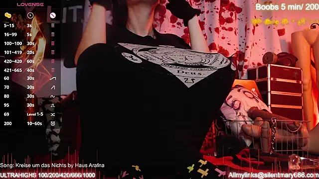 Snapshot of Silentmary chatting on October 27, 9:02 am Silentmary online show from October 27, 9:02 am