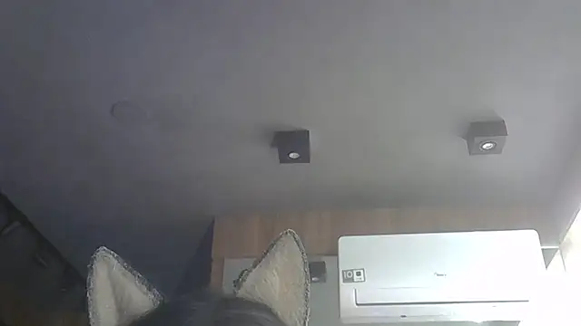 Skinny-Kitten online show from November 27, 3:47 pm