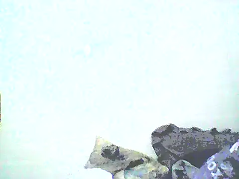 Stormward online show from January 12, 8:46 am