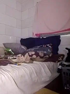 Snapshot of Stormward chatting on March 25, 5:24 am Stormward online show from March 25, 5:24 am