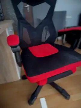  Mustj online show from February 2, 8:24 am