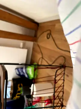 la chiennete online show from September 27, 1:05 pm