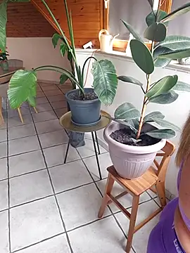Isabellaa04 online show from May 17, 11:17 am