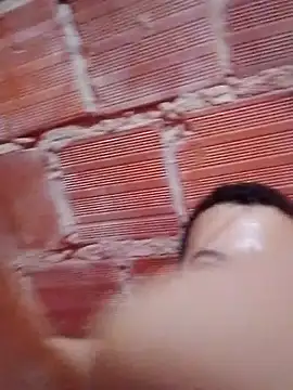 w31 online show from November 17, 1:55 am