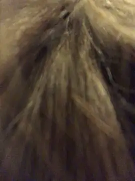 Snapshot of _Sweet_Love_ chatting on March 29, 1:00 pm Sweet Love online show from March 29, 1:00 pm