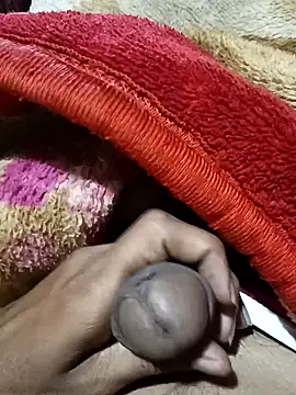 Play boy11 online show from November 16, 7:25 am