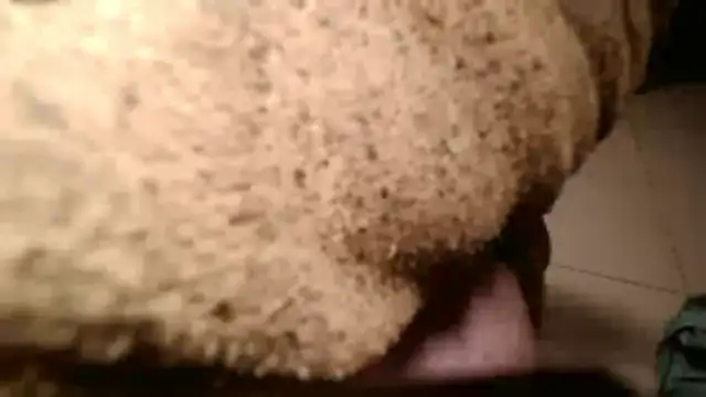 Dan3106x online show from March 19, 7:07 pm