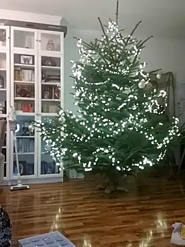 Snapshot of SexyDreamercouple89 chatting on December 7, 6:48 pm SexyDreamercouple89 online show from December 7, 6:48 pm