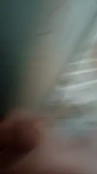 Sexis26 online show from March 15, 8:43 pm