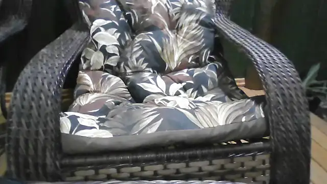 Kellynha Sweet online show from December 21, 1:13 am