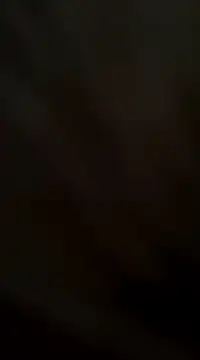 ft2022W online show from February 2, 5:37 pm