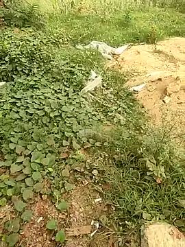 COUPLLE VILLAGE online show from May 19, 1:44 am