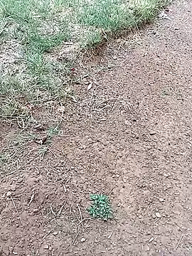 Snapshot of Vuyokaki chatting on February 3, 3:06 pm Vuyokaki online show from February 3, 3:06 pm