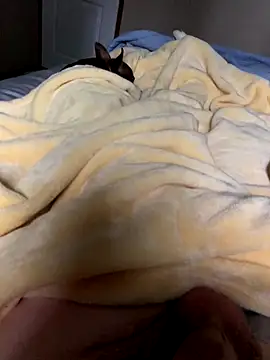 Snapshot of bertram59 chatting on October 25, 3:40 pm bertram59 online show from October 25, 3:40 pm