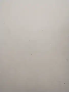 Shuttii 25 online show from December 21, 7:56 am