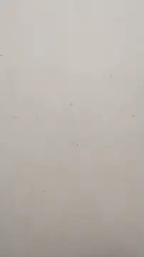 Shuttii 25 online show from January 16, 4:38 am