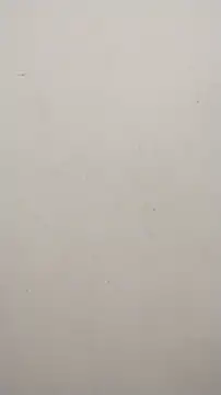 Shuttii 25 online show from January 23, 4:30 am