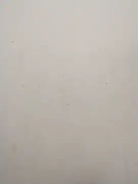 Shuttii 25 online show from February 10, 5:25 am