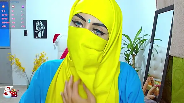 Snapshot of _alabina_ chatting on December 16, 8:48 pm alabina online show from December 16, 8:48 pm