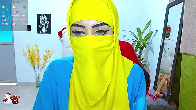 Snapshot of _alabina_ chatting on December 26, 8:00 pm alabina online show from December 26, 8:00 pm