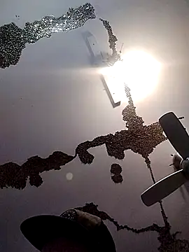 Snapshot of ColdVisitor chatting on March 21, 6:38 am ColdVisitor online show from March 21, 6:38 am