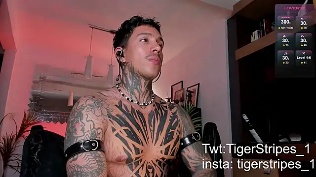 TigerStripes1  online show from February 22, 4:18 am