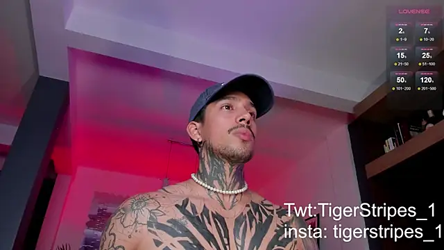 TigerStripes1  online show from March 3, 11:46 pm