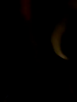 Snapshot of PIercingBoy38 chatting on October 11, 5:33 pm PIercingBoy38 online show from October 11, 5:33 pm