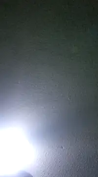 Snapshot of Elcogetuquieres chatting on January 8, 5:16 am Elcogetuquieres online show from January 8, 5:16 am